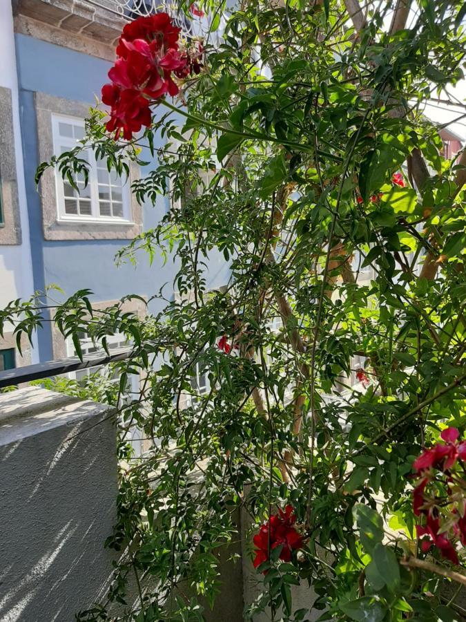 Amazing City Center Apartment Porto Villa Loios Kültér fotó